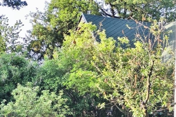 Predaj domu 119 m², pozemok 478 m², Ke Lhotě, Lhota Predaj domu 119 m², pozemok 478 m², Ke Lhotě, Lhota