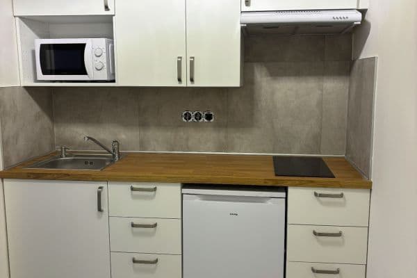 Prenájom bytu 1-izbový 27 m², Bulharská, Pardubice, Pardubický kraj Prenájom bytu 1-izbový 27 m², Bulharská, Pardubice, Pardubický kraj