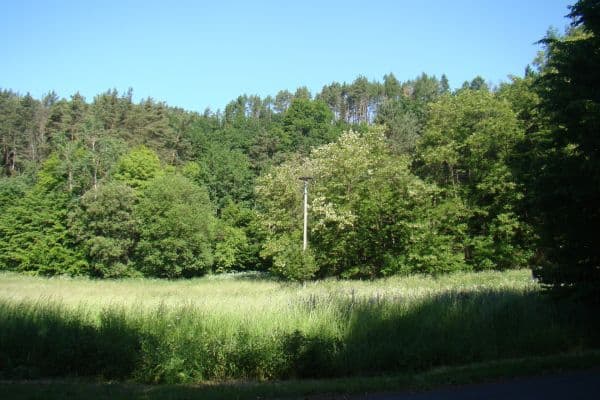 Predaj pozemku 6.471 m², 25935, Vidim Predaj pozemku 6.471 m², 25935, Vidim