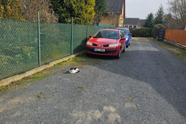 Prenájom domu 130 m², pozemek 3.000 m², Ořechová, Mělník Prenájom domu 130 m², pozemek 3.000 m², Ořechová, Mělník