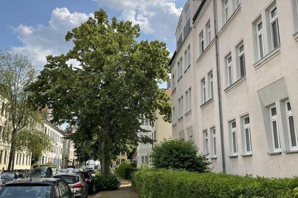 Prenájom bytu 3-izbový 67 m², Böttgerstr. 5, Leipzig, Sasko Prenájom bytu 3-izbový 67 m², Böttgerstr. 5, Leipzig, Sasko