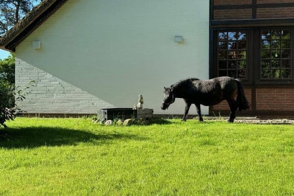 Predaj domu 340 m², pozemek 2.000 m², Winsen Luhdorf Predaj domu 340 m², pozemek 2.000 m², Winsen Luhdorf