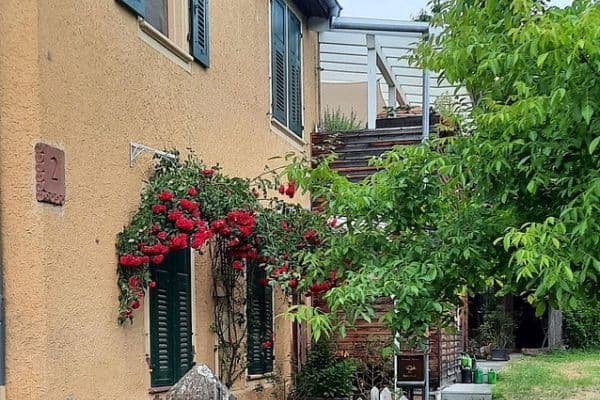 Predaj domu 220 m², pozemek 909 m², Schulstraße 2, Schliengen Predaj domu 220 m², pozemek 909 m², Schulstraße 2, Schliengen