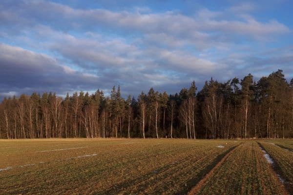 Predaj pozemku 2.678 m², Chotěmice Predaj pozemku 2.678 m², Chotěmice