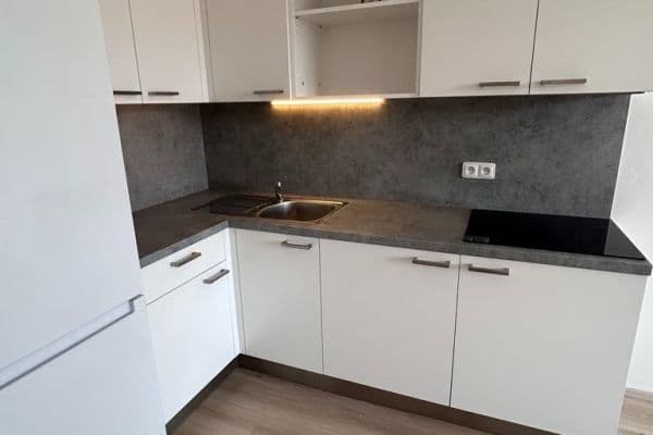 Prenájom bytu 1-izbový 33 m², Gajdošova, Brno Prenájom bytu 1-izbový 33 m², Gajdošova, Brno