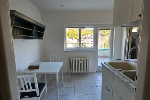 Prenájom bytu 2-izbový 53 m², Vrchlického, Praha Prenájom bytu 2-izbový 53 m², Vrchlického, Praha