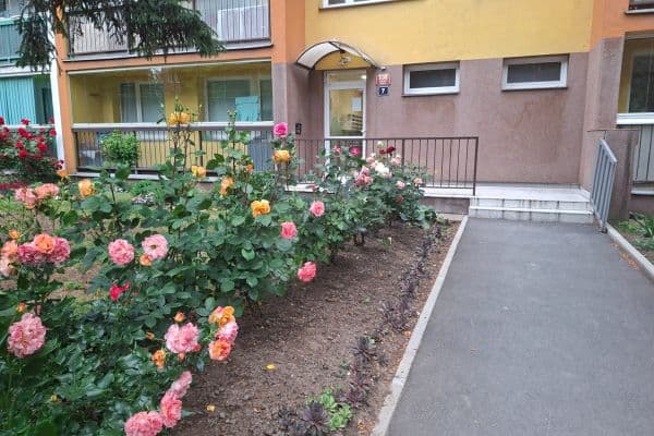 Predaj bytu 3-izbový 60 m², Veltruská, Praha Predaj bytu 3-izbový 60 m², Veltruská, Praha