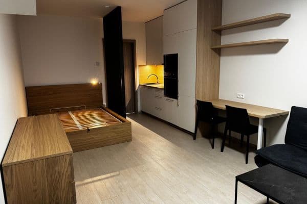 Prenájom bytu 1-izbový 33 m², Jáchymovská, Praha Prenájom bytu 1-izbový 33 m², Jáchymovská, Praha