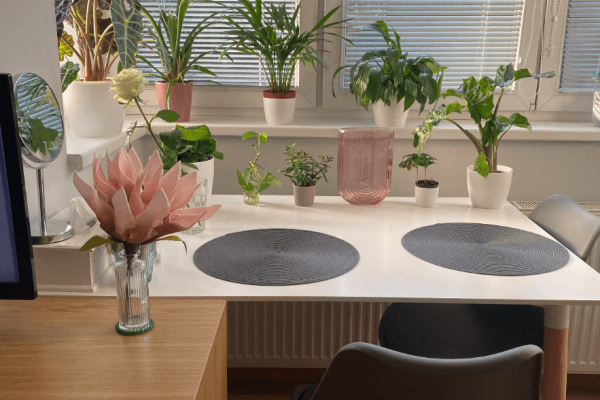 Prenájom bytu 1-izbový 27 m², Mikanova, Praha Prenájom bytu 1-izbový 27 m², Mikanova, Praha