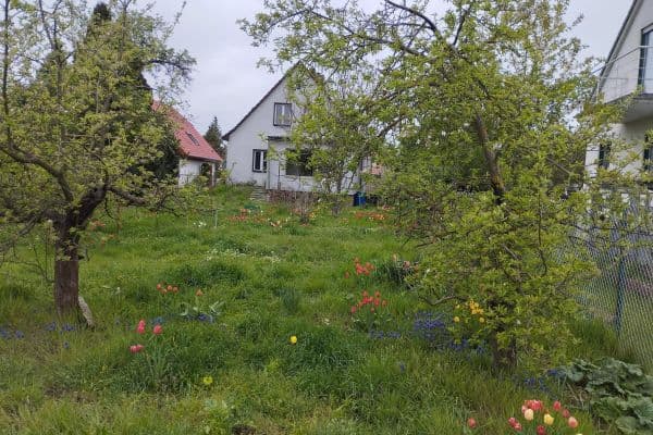 Predaj domu 110 m², pozemek 1.019 m², Wacholderheide 50, Berlin Mahlsdorf Nord, Berlín Predaj domu 110 m², pozemek 1.019 m², Wacholderheide 50, Berlin Mahlsdorf Nord, Berlín
