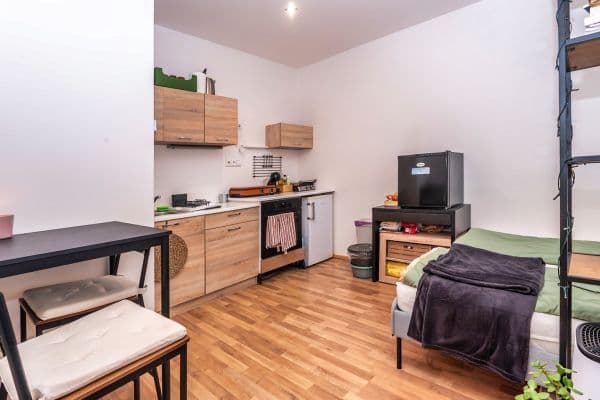 Prenájom bytu 1-izbový 26 m², Plotní, Brno Prenájom bytu 1-izbový 26 m², Plotní, Brno