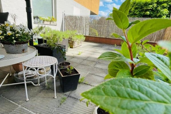 Predaj bytu 1-izbový 26 m², Vřesová, Praha Predaj bytu 1-izbový 26 m², Vřesová, Praha
