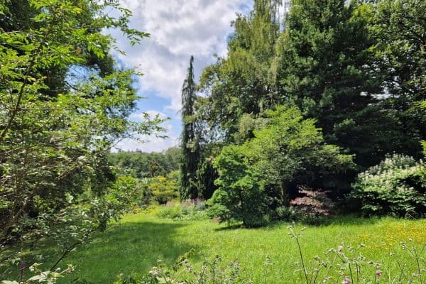 Predaj pozemku 1.890 m², Viehweideweg 18, Hofheim am Taunus - Langenhain Predaj pozemku 1.890 m², Viehweideweg 18, Hofheim am Taunus - Langenhain