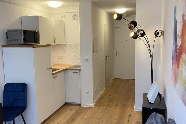 Prenájom bytu 1-izbový 22 m², Türkenstraße 80, München, Bavorsko Prenájom bytu 1-izbový 22 m², Türkenstraße 80, München, Bavorsko