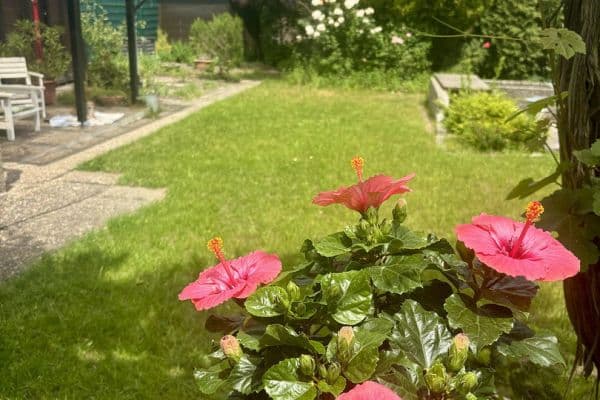 Predaj domu 253 m², pozemek 1.055 m², Wörth am Rhein Predaj domu 253 m², pozemek 1.055 m², Wörth am Rhein