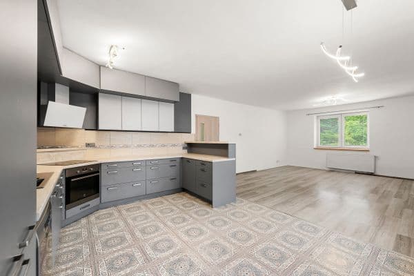 Prenájom domu 241 m², pozemok 977 m², Prenájom domu 241 m², pozemok 977 m²,