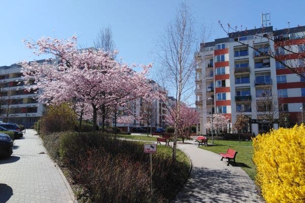 Predaj bytu 1-izbový 30 m², Míšovická, Praha Predaj bytu 1-izbový 30 m², Míšovická, Praha