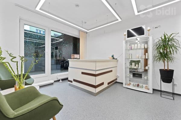Prenájom nebytového priestoru 24 m², Pod Radnicí, Praha Prenájom nebytového priestoru 24 m², Pod Radnicí, Praha