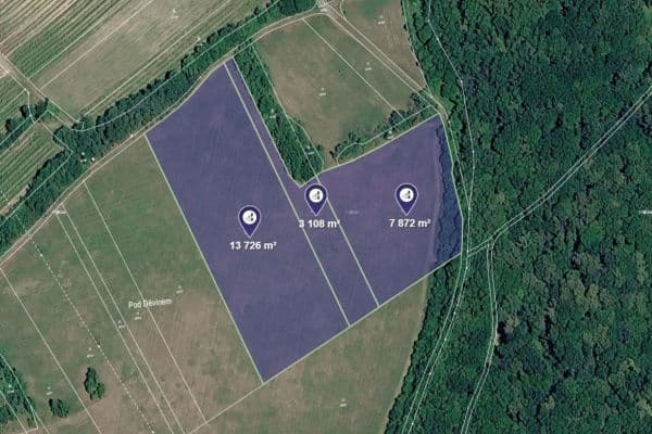 Predaj pozemku 24.706 m², Horní Věstonice Predaj pozemku 24.706 m², Horní Věstonice