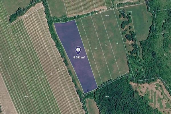 Predaj pozemku 8.391 m², Horní Věstonice Predaj pozemku 8.391 m², Horní Věstonice