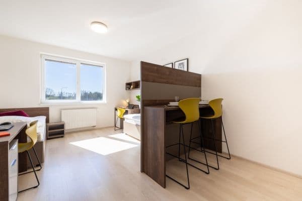 Prenájom bytu 1-izbový 27 m², Magisterská, Plzeň, Plzeňský kraj Prenájom bytu 1-izbový 27 m², Magisterská, Plzeň, Plzeňský kraj