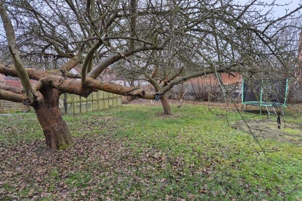 Prenájom bytu 3-izbový 90 m², Pod Špičákem, Česká Lípa Prenájom bytu 3-izbový 90 m², Pod Špičákem, Česká Lípa