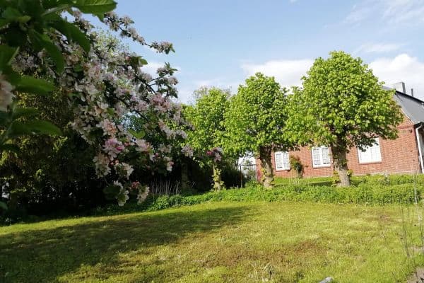 Prenájom bytu 4-izbový 121 m², Herzhorn Prenájom bytu 4-izbový 121 m², Herzhorn