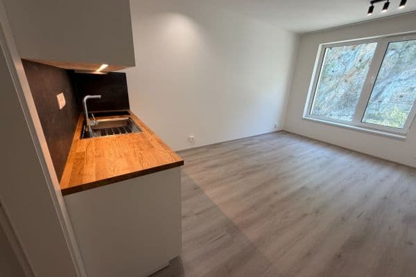 Prenájom bytu 1-izbový 31 m², Bystrcká, Brno Prenájom bytu 1-izbový 31 m², Bystrcká, Brno