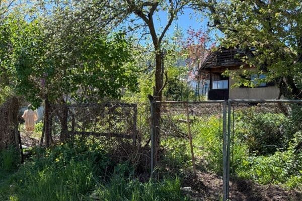 Predaj pozemku 304 m², Černolice Predaj pozemku 304 m², Černolice