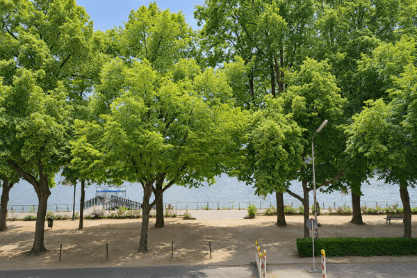 Prenájom bytu 3-izbový 62 m², Bonn Prenájom bytu 3-izbový 62 m², Bonn