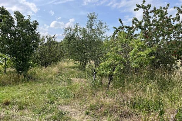Predaj pozemku 1.800 m², Ludwigshafen am Rhein Predaj pozemku 1.800 m², Ludwigshafen am Rhein
