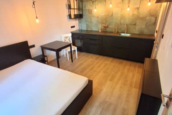 Prenájom bytu 1-izbový 25 m², Fibichova, Praha Prenájom bytu 1-izbový 25 m², Fibichova, Praha