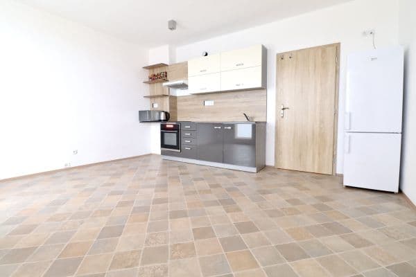 Prenájom bytu 1-izbový 27 m², Tachovská, Plzeň Prenájom bytu 1-izbový 27 m², Tachovská, Plzeň