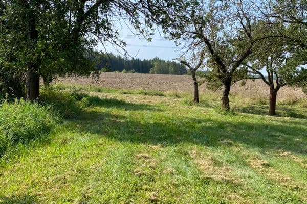 Predaj pozemku 3.359 m², Petrovice Predaj pozemku 3.359 m², Petrovice