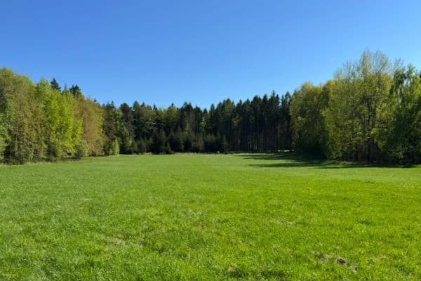 Predaj pozemku 16.750 m², Ondřejov Predaj pozemku 16.750 m², Ondřejov