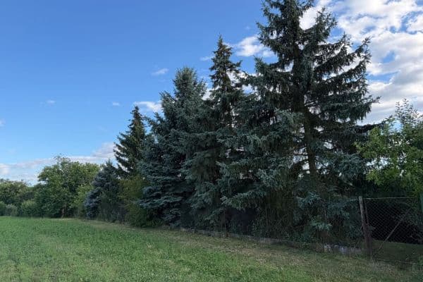 Predaj rekreačného objektu 800 m², pozemok 799 m², 298, Dobruška Predaj rekreačného objektu 800 m², pozemok 799 m², 298, Dobruška