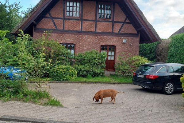 Prenájom bytu 2-izbový 75 m², Hamburg Prenájom bytu 2-izbový 75 m², Hamburg