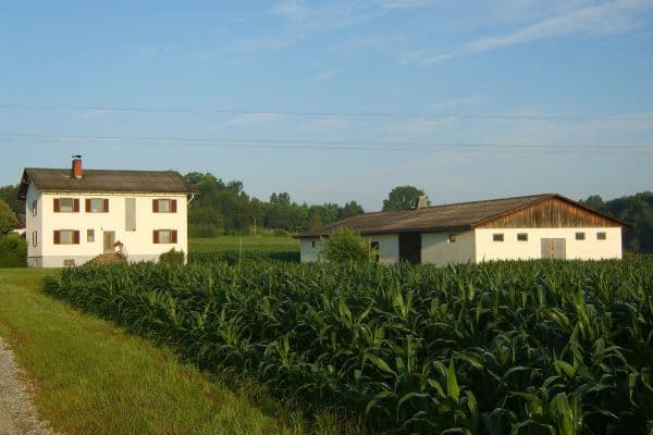 Predaj pozemku 61.000 m², Wettmannstätten Predaj pozemku 61.000 m², Wettmannstätten