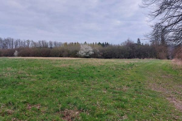 Predaj pozemku 2.040 m², Loket Predaj pozemku 2.040 m², Loket
