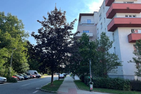 Prenájom bytu 1-izbový 27 m², Mikanova, Praha Prenájom bytu 1-izbový 27 m², Mikanova, Praha