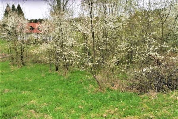 Predaj pozemku 340 m², Veselá Predaj pozemku 340 m², Veselá