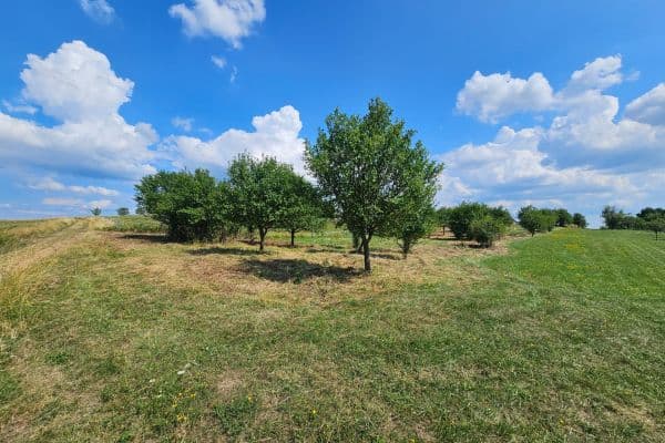 Predaj pozemku 2.492 m², Predaj pozemku 2.492 m²,