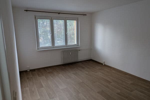 Prenájom bytu 1-izbový 41 m², Nepomucká, Plzeň Prenájom bytu 1-izbový 41 m², Nepomucká, Plzeň