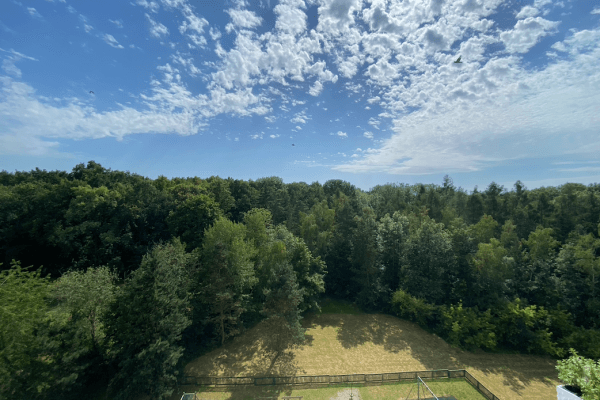 Prenájom bytu 4-izbový 92 m², Augustinova, Praha Prenájom bytu 4-izbový 92 m², Augustinova, Praha