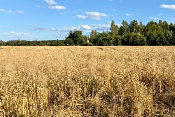 Predaj pozemku 714 m², Predaj pozemku 714 m²,