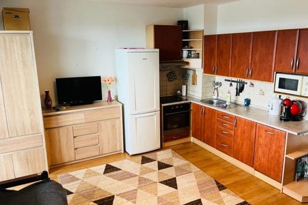 Prenájom bytu 1-izbový 35 m², Tachovská, Plzeň Prenájom bytu 1-izbový 35 m², Tachovská, Plzeň