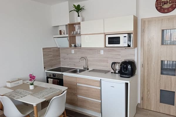 Prenájom bytu 1-izbový 29 m², Sedláčkova, Brno Prenájom bytu 1-izbový 29 m², Sedláčkova, Brno