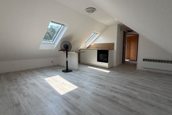 Prenájom bytu 1-izbový 30 m², Svobody, Liberec Prenájom bytu 1-izbový 30 m², Svobody, Liberec