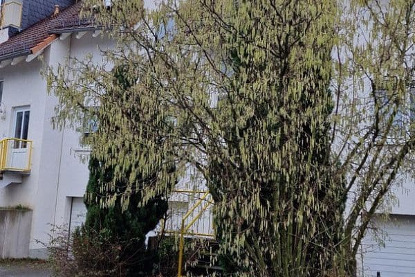 Predaj bytu 2-izbový 72 m², Neu-Anspach Predaj bytu 2-izbový 72 m², Neu-Anspach