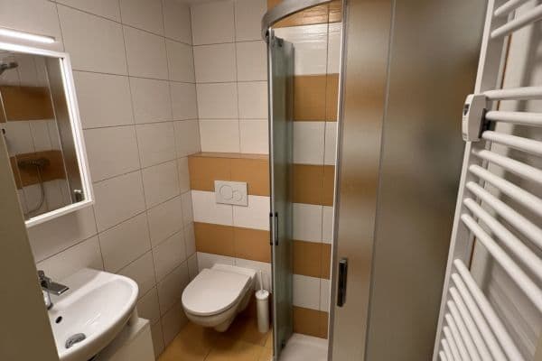 Prenájom bytu 1-izbový 32 m², Partyzánská, Plzeň Prenájom bytu 1-izbový 32 m², Partyzánská, Plzeň